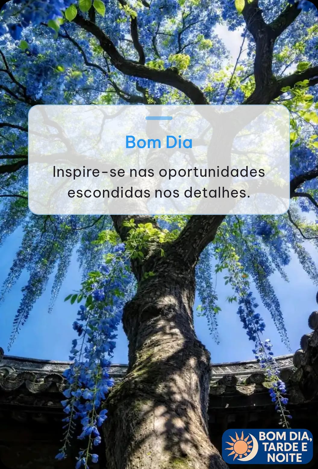 mensagem de bom dia